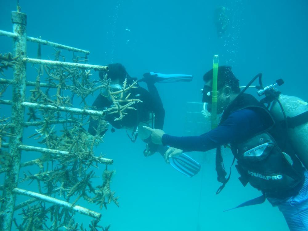 Hatchery Marine Station Pulau Barrang Lompo
